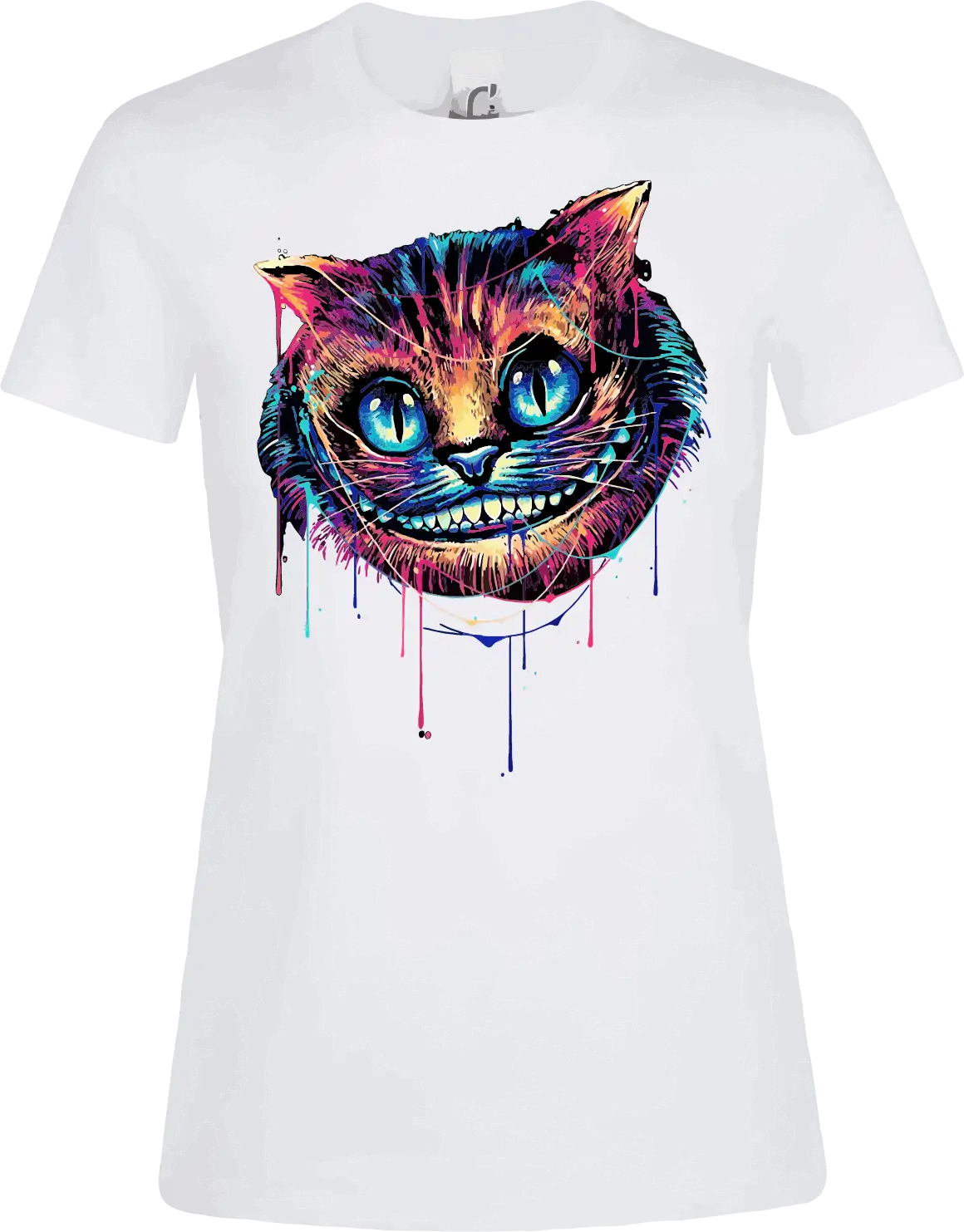 chat pop art recto chat pop art recto